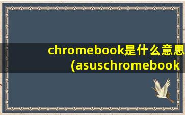 chromebook是什么意思(asuschromebook是什么)